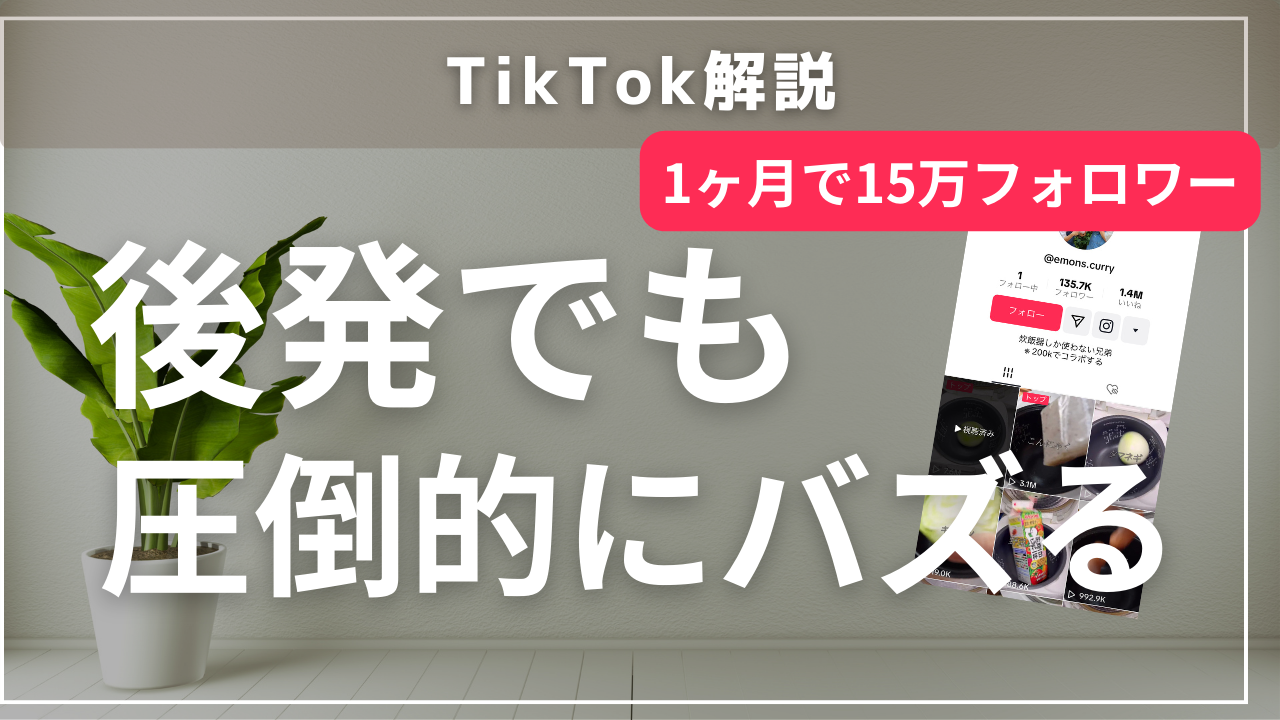 TikTok後発でも圧倒的にフォロワーを集めるアカウント設計【炊飯器ブラザーズ】